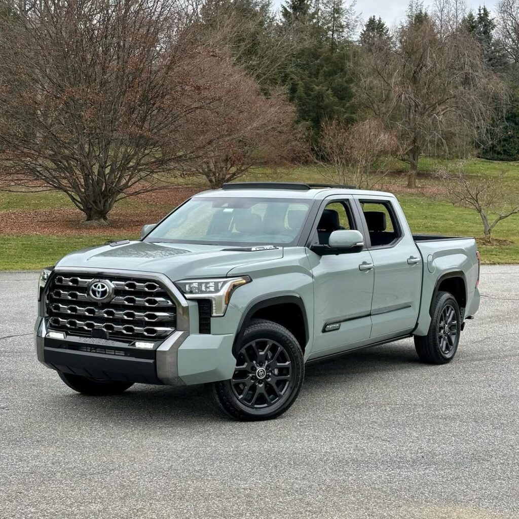Tundra Platinum